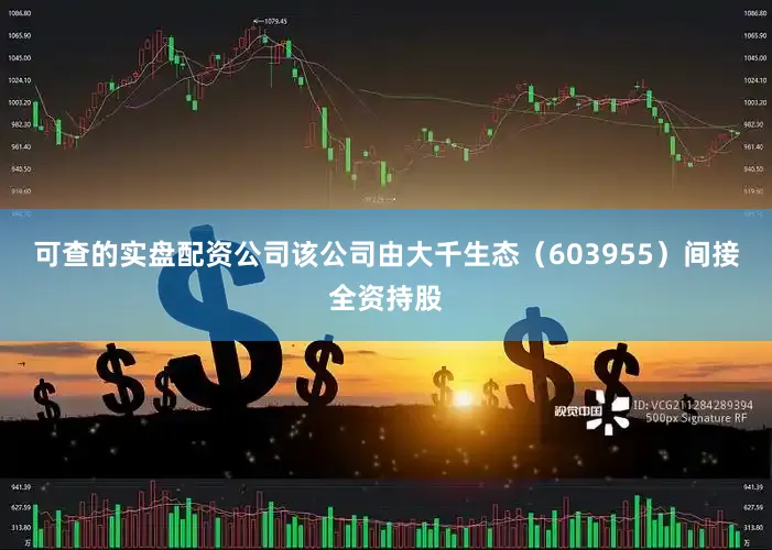 可查的实盘配资公司该公司由大千生态（603955）间接全资持股