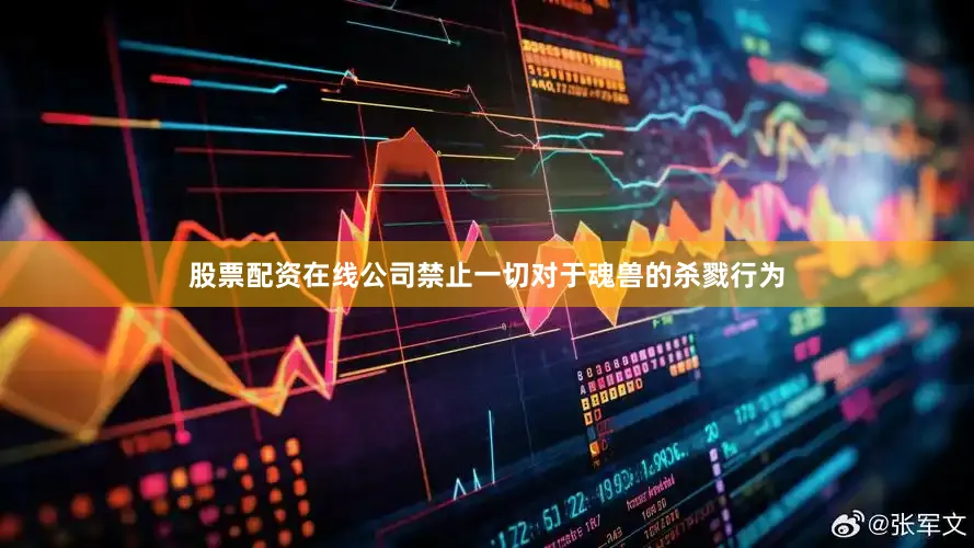 股票配资在线公司禁止一切对于魂兽的杀戮行为